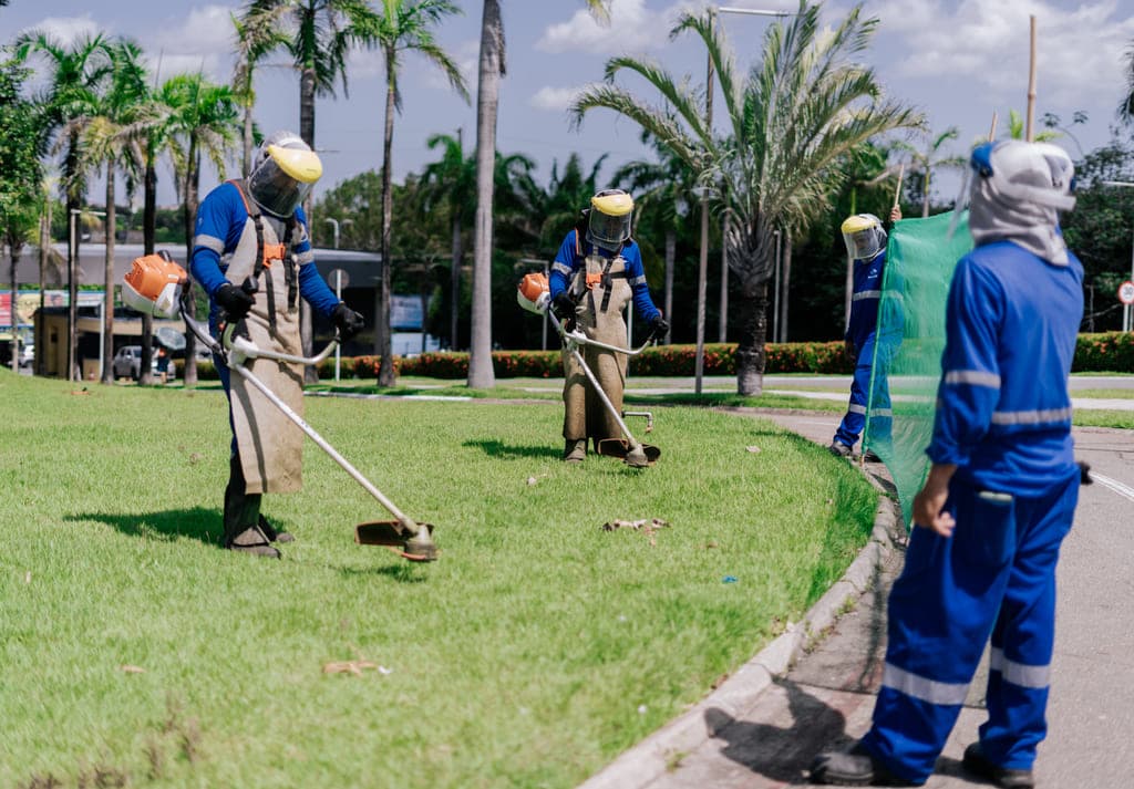 Jardinagem e Paisagismo